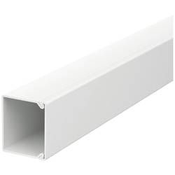 OBO Bettermann 6026796 kabelová lišta (d x š x v) 2000 x 30 x 30 mm 20 ks šedá