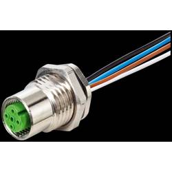 Murrelektronik Murr Elektronik neupravený zástrčkový konektor pro senzory - aktory, 7000-17185-9850100, piny: 8, 1.00 m, 1 ks
