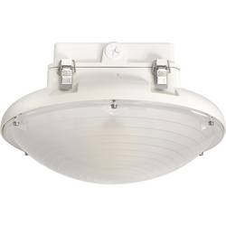 Sygonix SY-6249490 LED stropní svítidlo LED LED Energetická třída (EEK2021): D (A - G) 70 W bílá