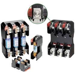 Littelfuse LFR250301C, LFR250301C Pojistkový blok, 250 V/AC, 250 V/DC, 30 A, 1 ks