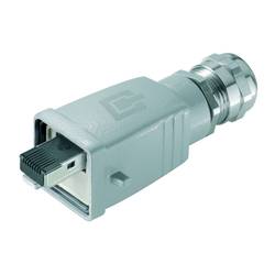 Weidmüller IE-PS-V05M-RJ45-FH-B datový zástrčkový konektor pro senzory - aktory, 1271250000, 10 ks