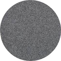 PFERD CD 50 SiC 120 42754512 brusný list Zrnitost 120 (Ø) 50 mm 100 ks