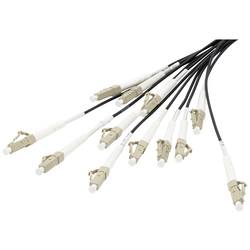 Digitus DK-2433CU050BK-BBB optické vlákno optické vlákno kabel 50 m černá [12x LC/UPC zástrčka - 12x LC/UPC zástrčka] 50/125 µ Multimode OM4