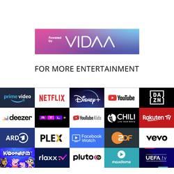 Dyon SMART 24 VX LED TV, 60 cm 24 palec, F (A - G), DVB-T2, DVB-C, DVB-S2, HD ready, Smart TV, WLAN, CI+, černá