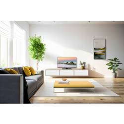 Panasonic TV-32S50A LED TV, 80 cm 32 palec, E (A - G), DVB-T, DVB-T2, DVB-S2, DVB-C, CI+, WLAN, Smart TV, Full HD, černá