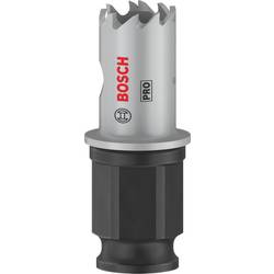 Bosch Accessories 2608594437 2608594437 vrtací korunka 16 mm 1 ks