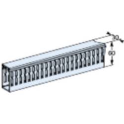 Prizmatický prizmatický řez-P, kabelový kanál, horizontální, s nosičem, šířka = 30 mm, výška = 60 mm, délka = 450 mm, (4 ks) Schneider Electric Množství: 1 ks