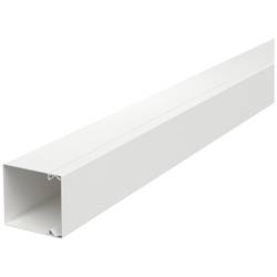 OBO Bettermann 6248608 kabelová lišta (d x š x v) 2000 x 60 x 60 mm 1 ks čistě bílá
