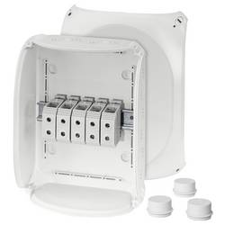 Hensel 62000018 rozbočovací krabice (d x š x v) 122 x 295 x 225 mm šedobílá (RAL 7035) IP55, IP65 1 ks