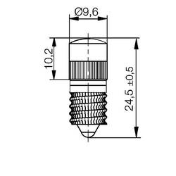Signal Construct MWGE25529 LED žárovka bílá E10 12 V DC/AC