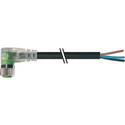 Murrelektronik neupravený zástrčkový konektor pro senzory - aktory, 7000-08121-6300500, piny: 3, 5.00 m, 1 ks