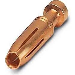 Crimp contact CK2,5-ED-1,00BU AU CK2,5-ED-1,00BU AU Phoenix Contact Množství: 100 ks CK2,5-ED-1,00BU AU Phoenix Contact Množství: 100 ks