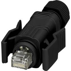 Phoenix Contact VS-08-RJ45-5-Q/IP67-BK datový zástrčkový konektor pro senzory - aktory, 1658493, piny: 8, 1 ks