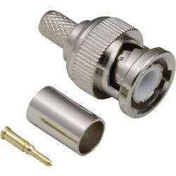 TRU COMPONENTS TC-2520046 BNC konektor zástrčka, rovná 75 Ω 50 ks
