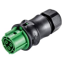 Wieland Electric 96.031.0055.7 konektor