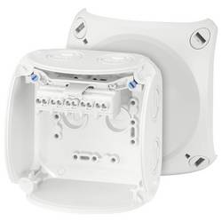 Hensel 62000047 rozbočovací krabice (d x š x v) 70 x 104 x 104 mm šedobílá (RAL 7035) IP66, IP67, IP69 1 ks