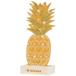 Whadda WSXL107 LED ananas Provedení (stavebnice/hotový modul): stavebnice 5 V/DC