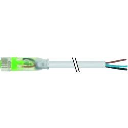Murrelektronik neupravený zástrčkový konektor pro senzory - aktory, 7000-08111-2300500, piny: 3, 5.00 m, 1 ks