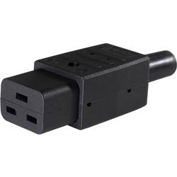 AS Schwabe 62085 IEC zástrčka C13/C14 zástrčka, rovná Počet kontaktů: 2 10 A černá 1 ks