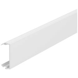 OBO Bettermann 6113010 montážní příslušenství (d x š) 2000 mm x 45 mm 1 ks čistě bílá