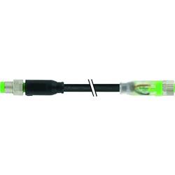 Murrelektronik 7000-88002-6300030 upravený zástrčkový konektor pro senzory - aktory M8 x 1 zástrčka, rovná, zásuvka, rovná 0.30 m Počet pólů: 3 1 ks