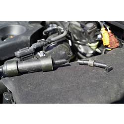 Gardigo 78520 ultrazvukový odpudzovač kun, 12 V, 1 ks