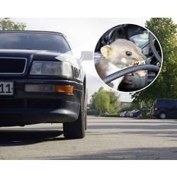 Gardigo 78520 ultrazvukový odpudzovač kun, 12 V, 1 ks