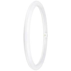 OSRAM LED Energetická třída (EEK2021): E (A - G) G10q kruhová zářivka 24 W = 40 W studená bílá (Ø x d) 400 mm x 400 mm 1 ks
