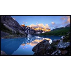 Dell U2424HWOS LED monitor 60.5 cm (23.8 palec) 1920 x 1080 Pixel 16:9 8 ms IPS LED