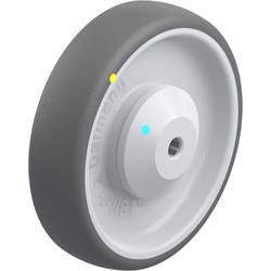 Blickle 846916 PATH 160/12KAD-ELS Kolo Ø kola: 160 mm nosnost (max.): 260 kg 1 ks