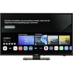 Reflexion LDDX24iBT_B LCD TV 60 cm 24 palec Energetická třída (EEK2021) E (A - G) DVB-T2, DVB-C, DVB-S2, Full HD, Smart TV, WLAN, DVD-Player, CI+ černá
