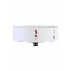 Bosch Accessories 2608594249 vrtací korunka 168 mm 1 ks