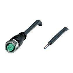 Pepperl+Fuchs V1-G-BK10M-PUR-U/ABG upravený zástrčkový konektor pro senzory - aktory, 240004-100033, piny: 4, 10 m, 1 ks
