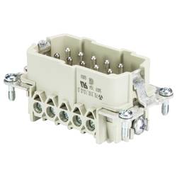 Wieland Electric 70.312.1040.0 zástrčková vložka Počet kontaktů 10 10 ks