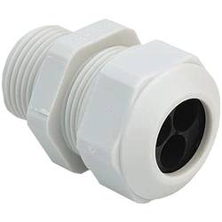 Kaiser Elektro 1571.20.2.060 kabelová průchodka, 1571.20.2.060, od 4.50 mm, do 6 mm, M20, 1 ks