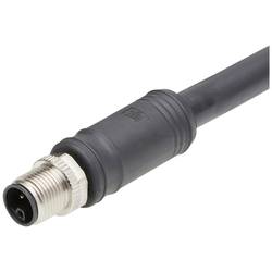 Molex upravený zástrčkový konektor pro senzory - aktory, 1205000242, piny: 4, 1 m, 1 ks