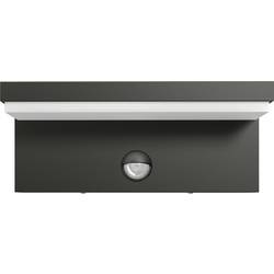 Signify Bustan IR Wandleuchte Anthrazit 2x4.5 8718696158883 nástěnné světlo LED pevně vestavěné LED 4.50 W antracitová