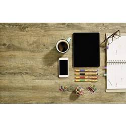 STABILO inkoustové kuličkové pero pointVisco 0.5 mm modrá 1099/41 N/A 1 ks