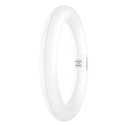 OSRAM LED trubice Energetická třída (EEK2021): E (A - G) G10q kruhová zářivka 11 W = 22 W neutrální bílá (Ø x d) 312 mm x 212 mm 1 ks