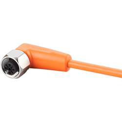 ifm Electronic EVT006 Přívodní kabel, EVT006, piny: 5, 25 m, 1 ks
