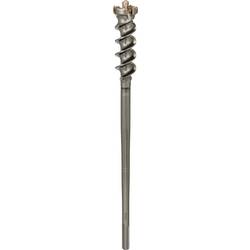 Bosch Accessories Bosch Power Tools 1618596457 tvrdý kov prorážecí vrtáky 55 mm Celková délka 600 mm SDS max 1 ks