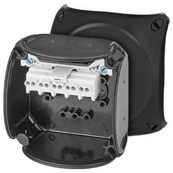 Hensel 62000335 rozbočovací skříň (d x š) 93.00 mm x 93.00 mm 1 ks