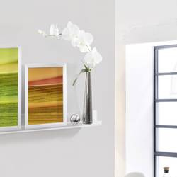 Sigel plovoucí police GA111 transparentní 50 cm x 5 cm x 8 cm 1 ks