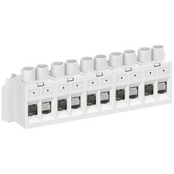 Spelsberg 89641001, Abox 100 KLS-10², kabelová svorka, 2.5-10 mm², kontakty 5, Single, 1 ks
