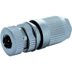 Murrelektronik 7000-P4421-0000000 neupravený zástrčkový konektor pro senzory - aktory zásuvka, rovná Počet pólů: 5 1 ks
