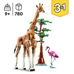 31150 LEGO® CREATOR Fari na zvířatech