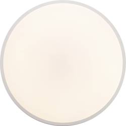 Brilliant G97010/75 Jamil LED stropní svítidlo 60 W bílá, stříbrná
