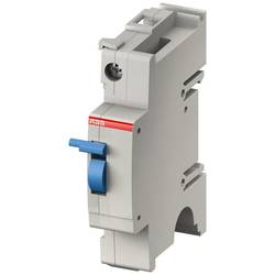 ABB 2CCS500900R0011 neutrální vodič 63 A