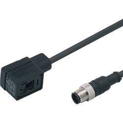 IFm E11431 propojovací kabel E11431 E11431 ifm Electronic Množství: 1 ks
