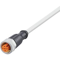 ifm Electronic EVW167 Přívodní kabel, EVW167, piny: 5, 2 m, 1 ks